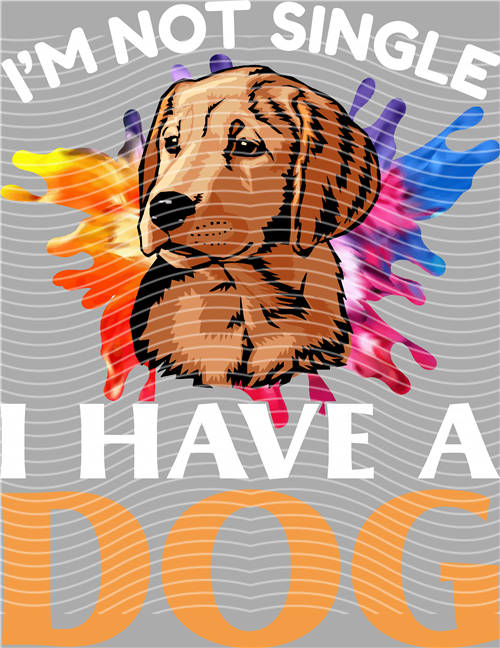 Best selling design-CX 2260